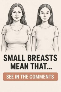 346871706_611014397648022_6405374181272223434_n-326x245