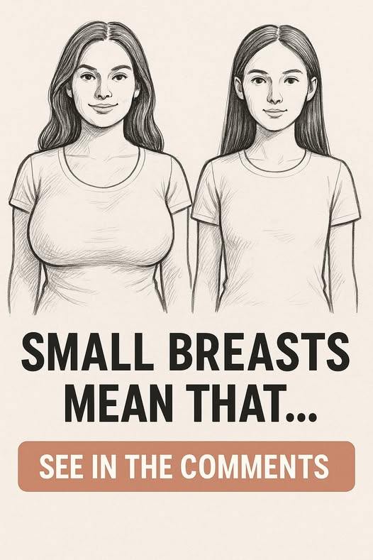 346871706_611014397648022_6405374181272223434_n-326x245