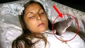 fn-2025-12-09-01-24-32-263