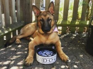 fn-2025-12-09-01-24-32-263