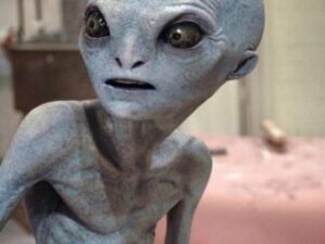 fn-2025-12-09-01-24-32-263