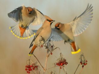 fn-2025-12-09-01-24-32-263