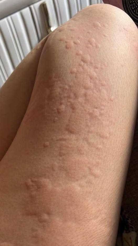 fn-2025-12-09-01-24-32-263