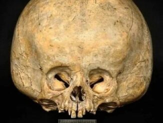 fn-2025-12-09-01-24-32-263