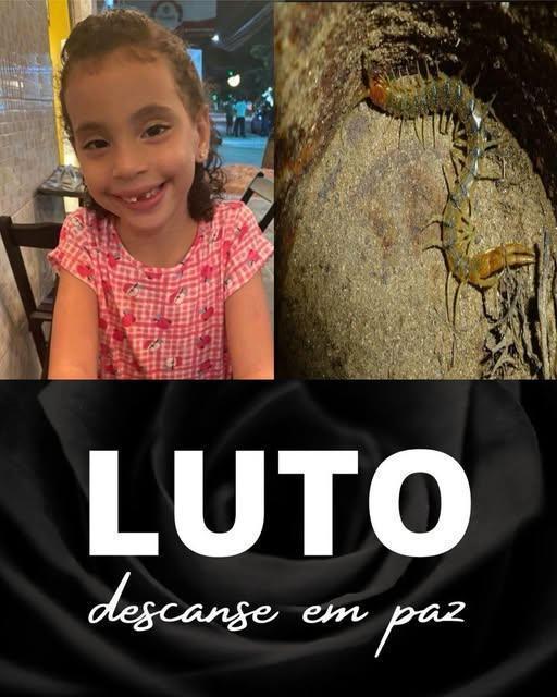 346871706_611014397648022_6405374181272223434_n-326x245