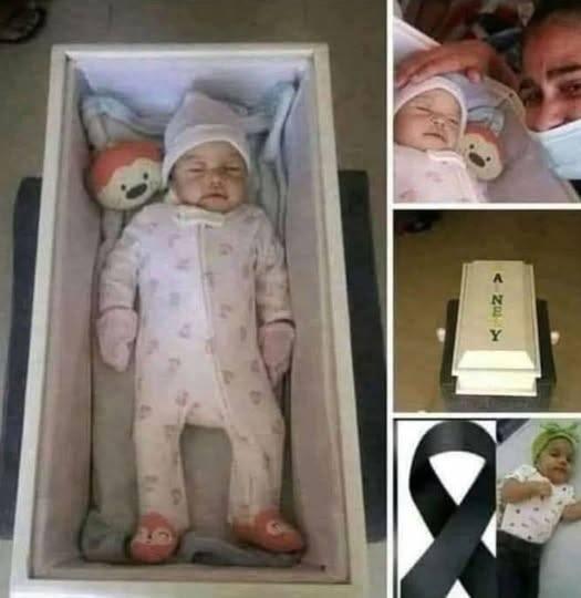 346871706_611014397648022_6405374181272223434_n-326x245