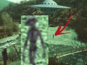 346871706_611014397648022_6405374181272223434_n-326x245