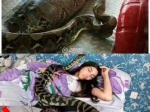 346871706_611014397648022_6405374181272223434_n-326x245