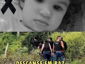 44a0ac7ccd17ee5aa57ca2ad45679b50