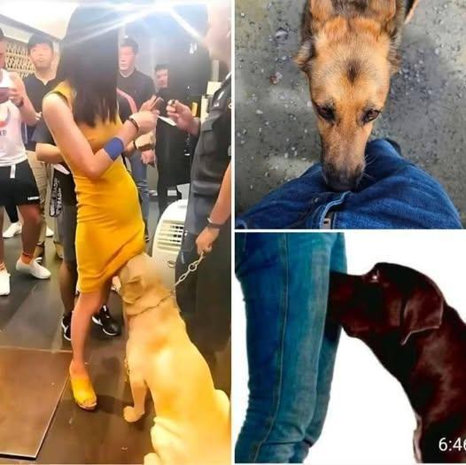 44a0ac7ccd17ee5aa57ca2ad45679b50